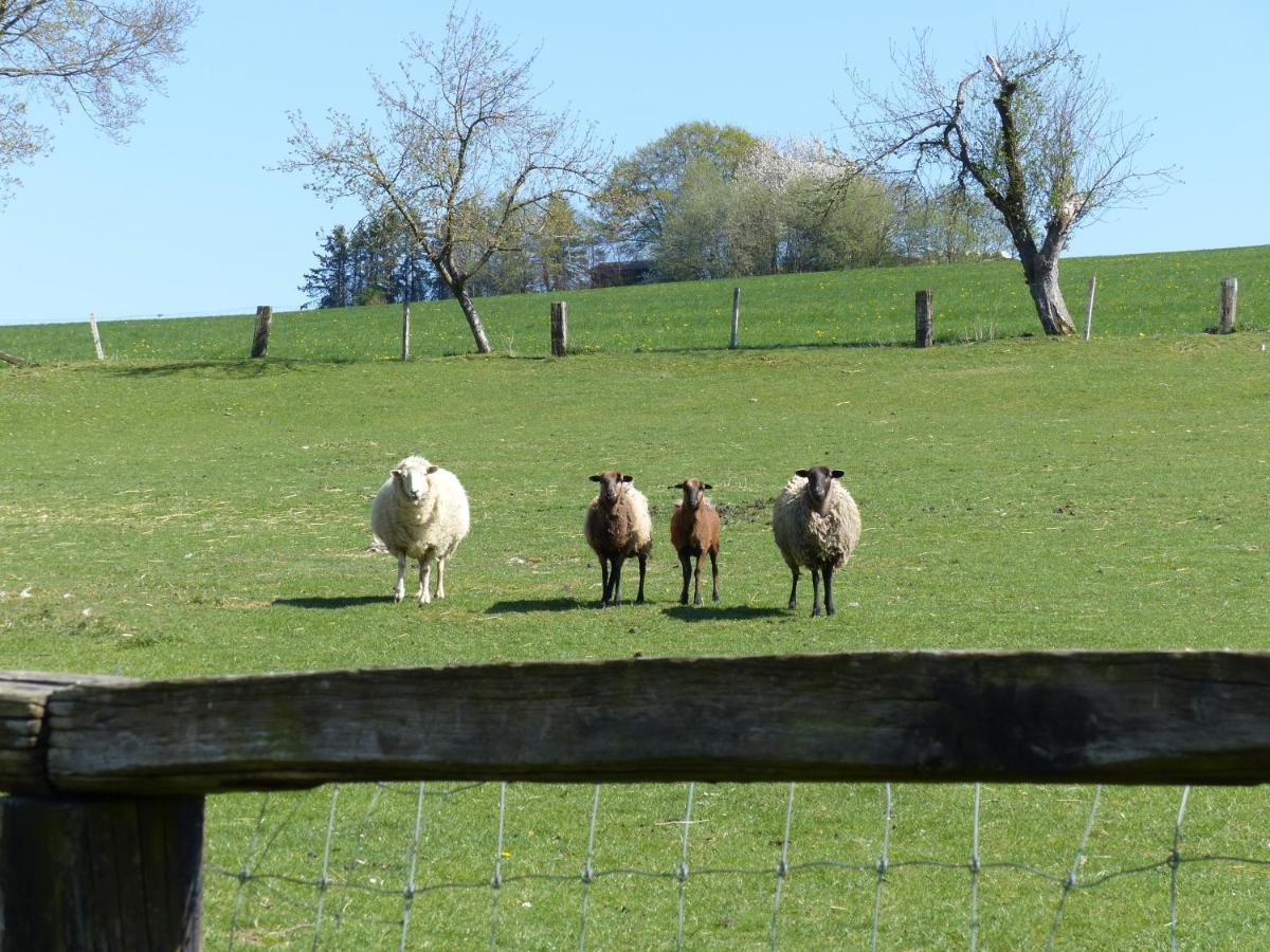 Xavers Ranch Meschede Kültér fotó